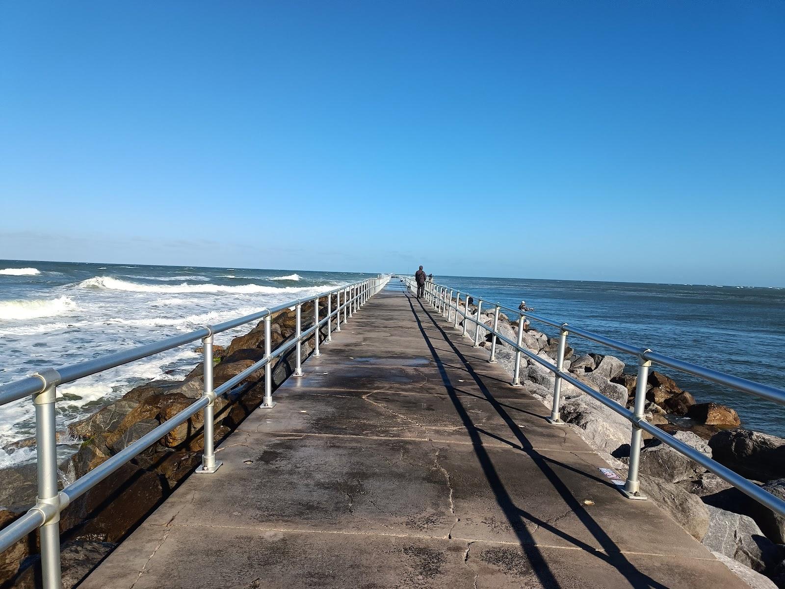 Sandee - Ponce Inlet Dog Beach