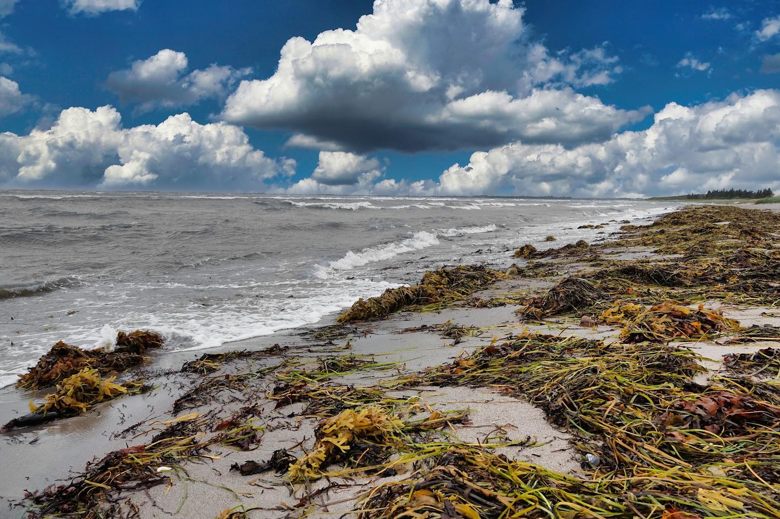 Sandee Grossenbrode Weststrand