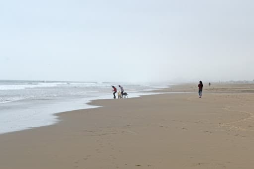 Sandee - Chacraymar Beach