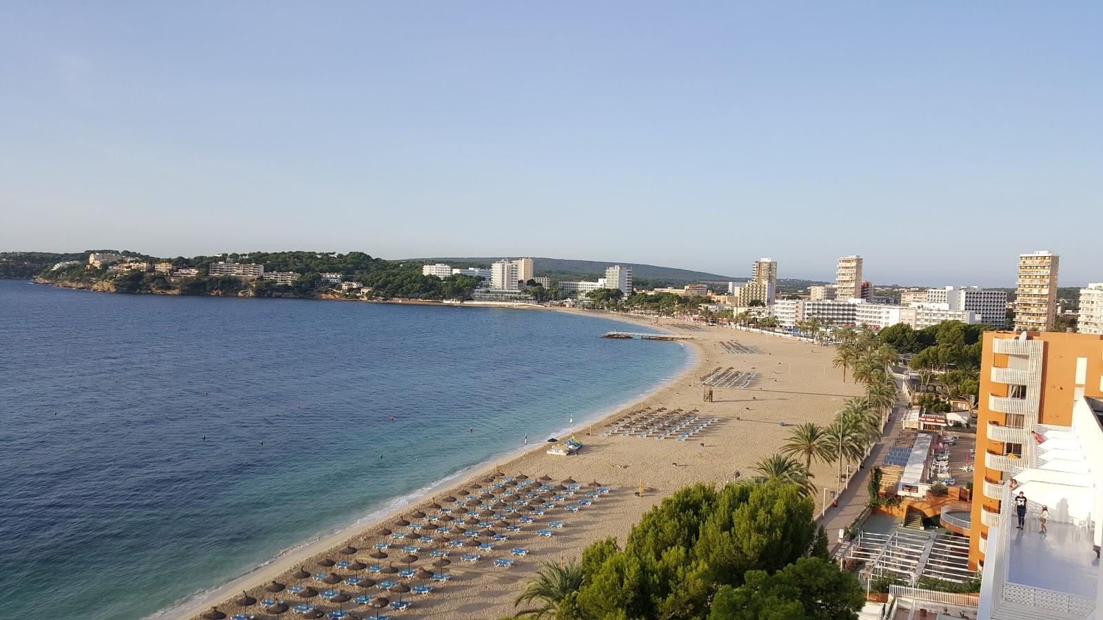 Mallorca Photo - Sandee