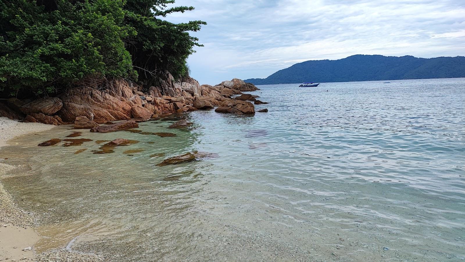Sandee D'Lagoon