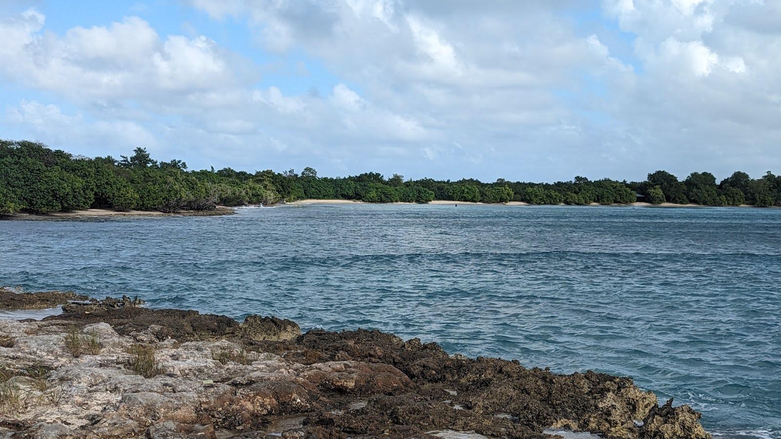 Sandee Pointe D'Antigue