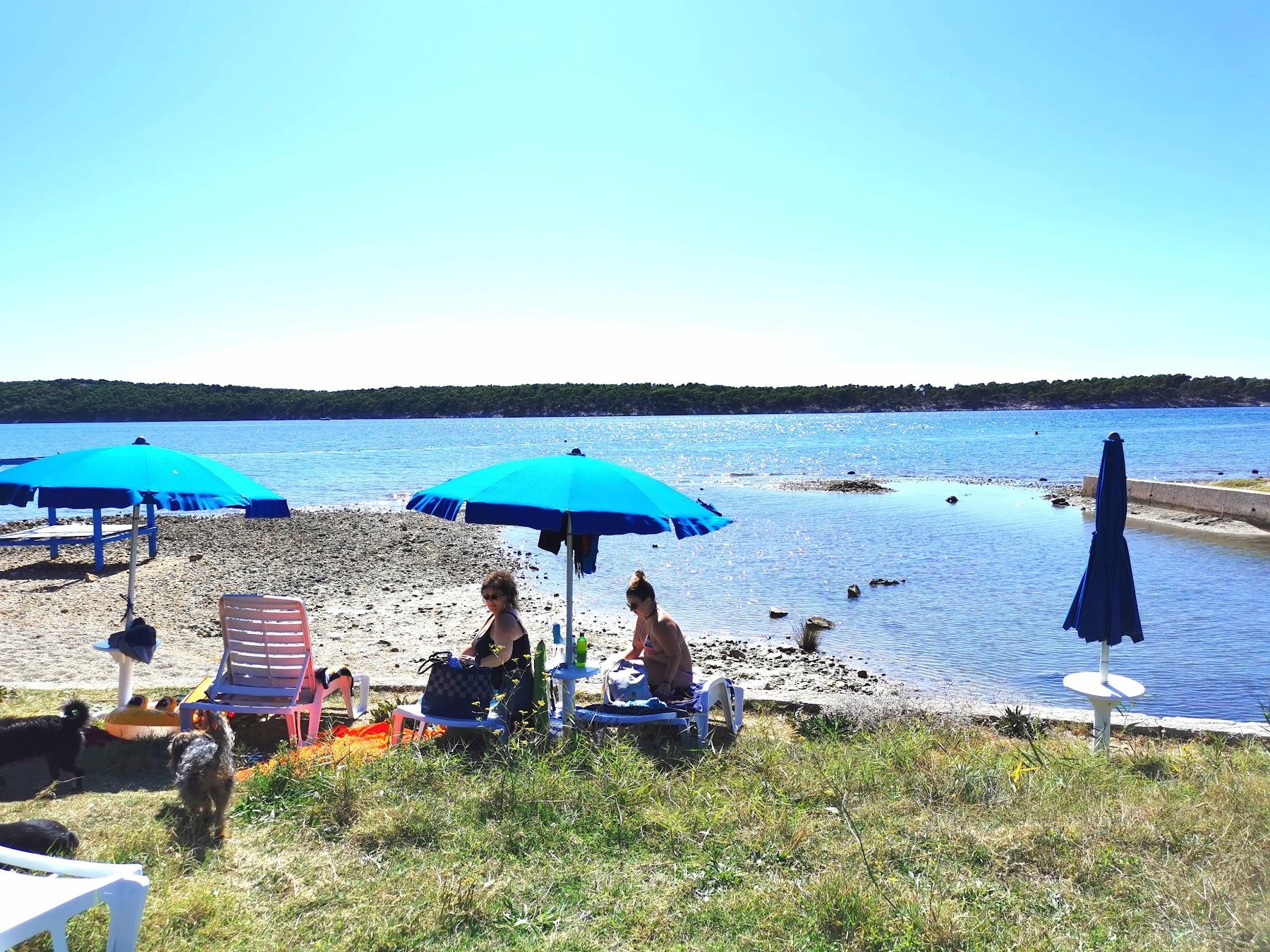 Sandee Monty's Dog Beach & Bar Photo