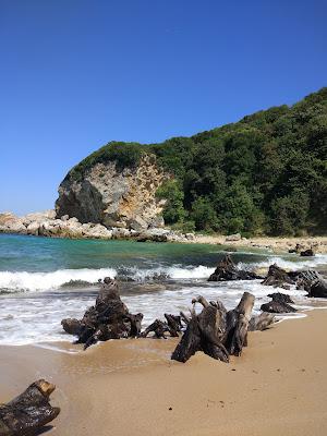 Sandee - Camlıkoy Nature Park