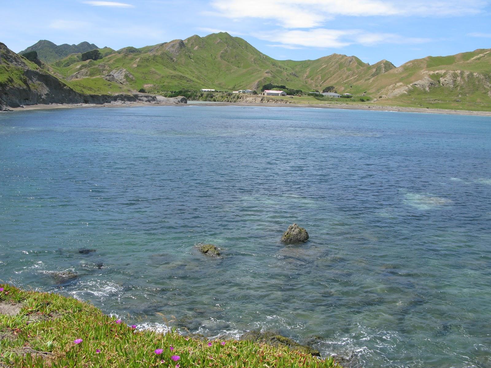 Sandee Te Awaiti Beach