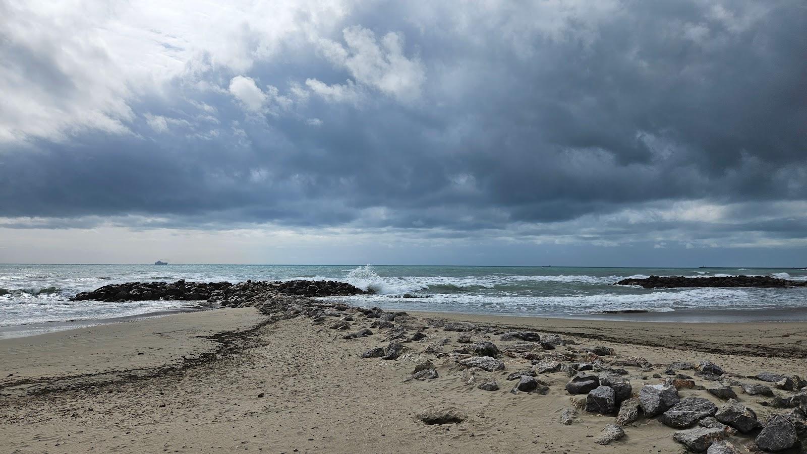 Sandee Plage Des Sarcelles
 Photo