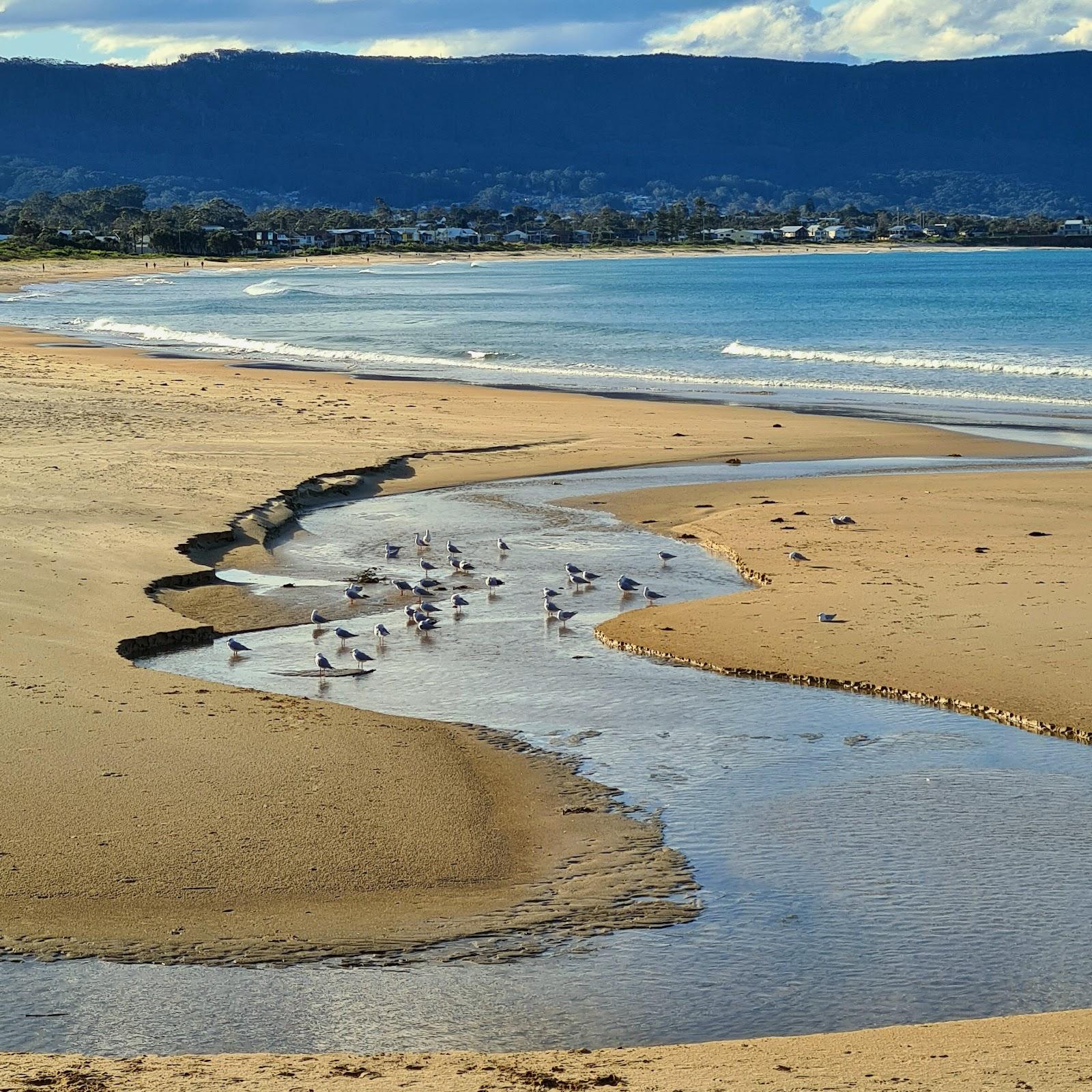 Sandee Bellambi Beach Photo