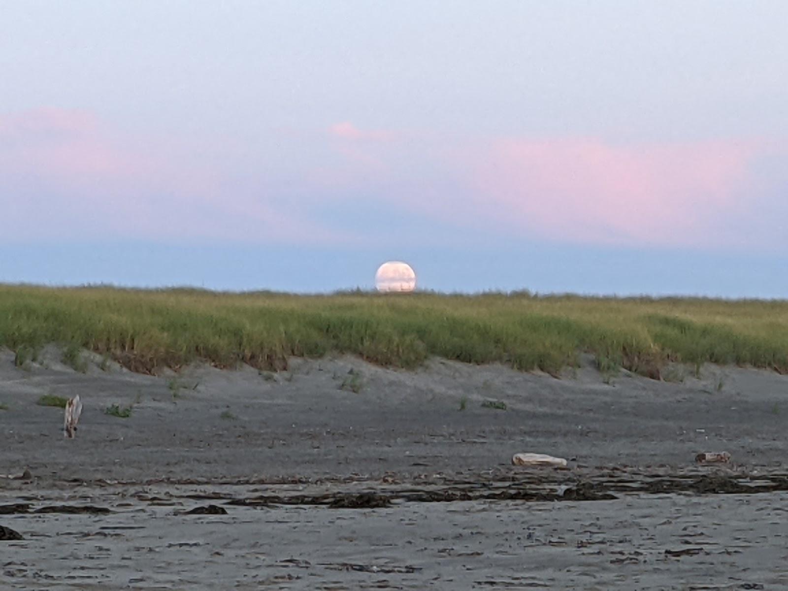 Sandee - Twin Harbors State Park