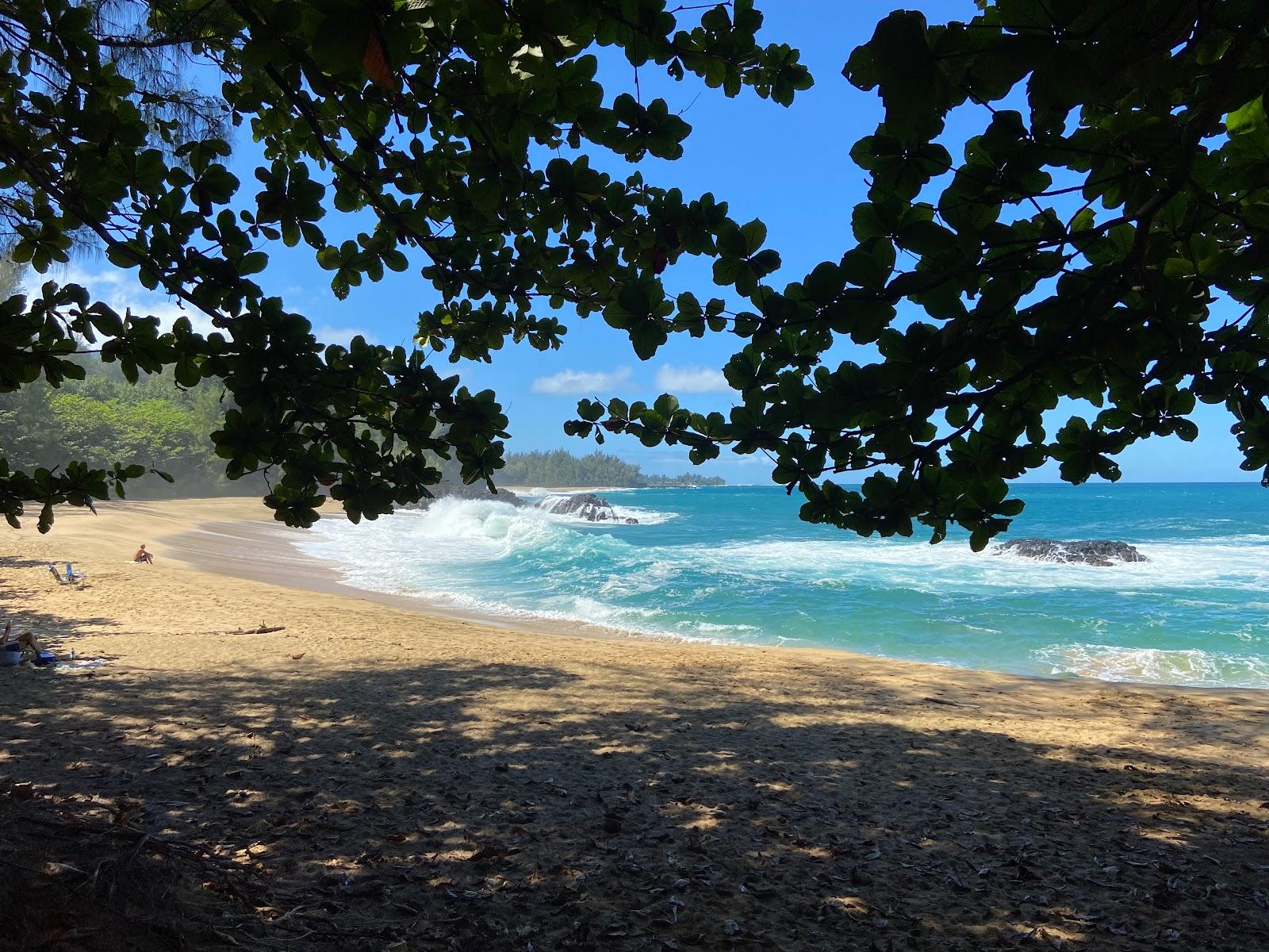 Sandee - Kahalahala Beach