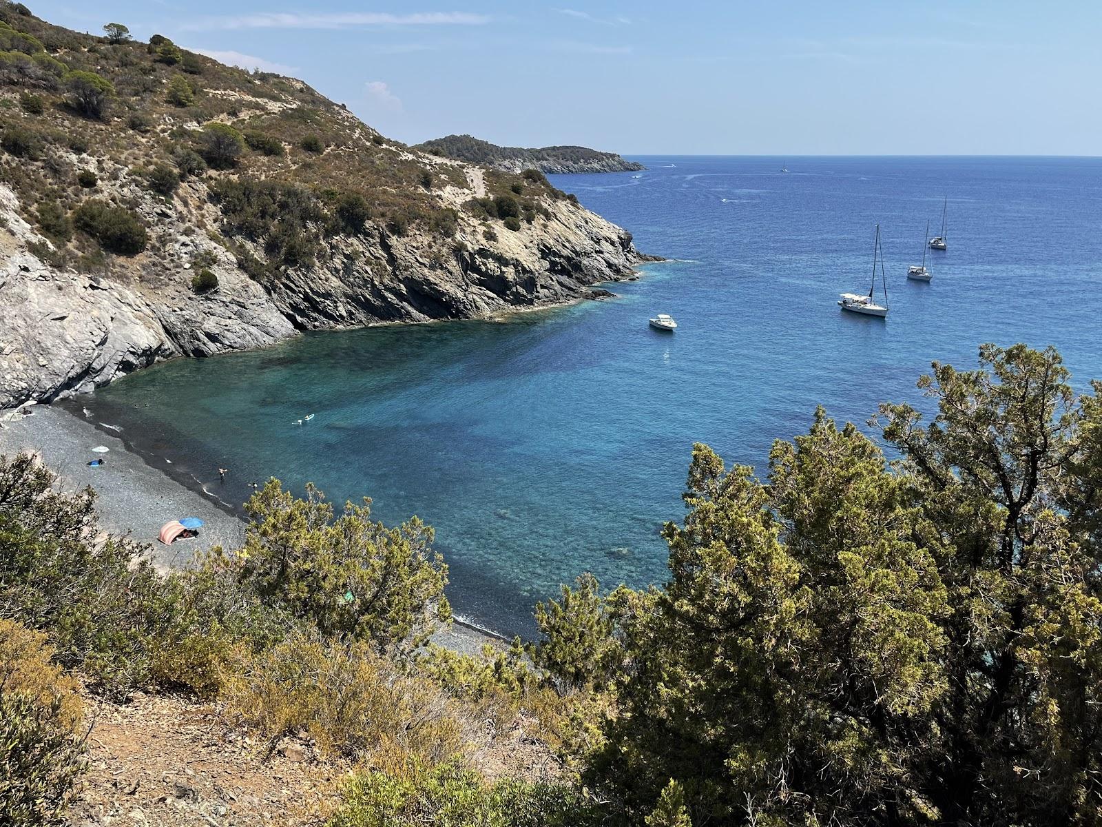 Sandee Spiaggia Le Tombe O Cala Dell'Alga Photo