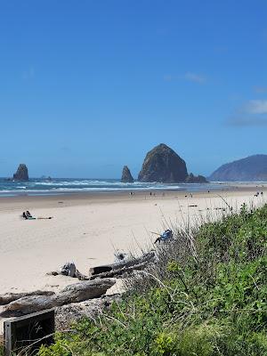 Sandee - Tolovana State Park Beach