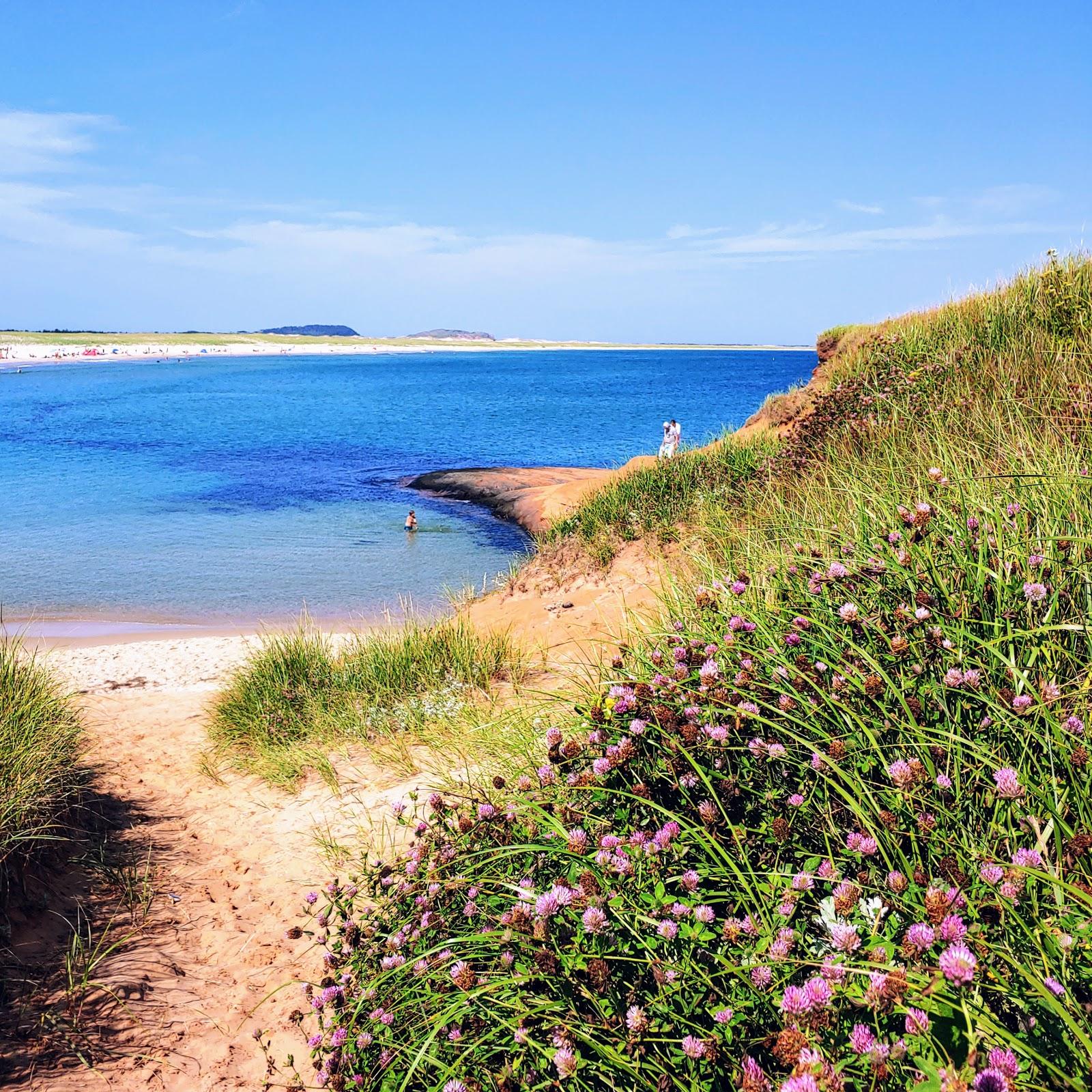 Sandee Old Harry Beach