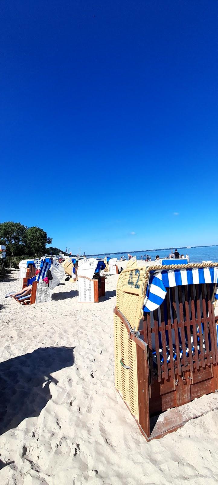 Sandee Hundestrand Timmendorf