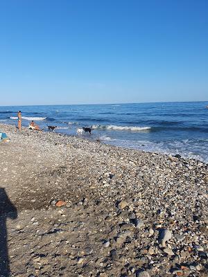 Sandee - Playa El Sillon