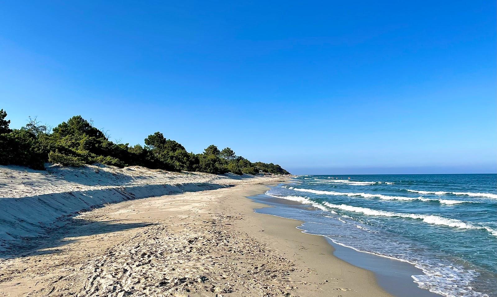 Sandee Plage De Casabianda Photo