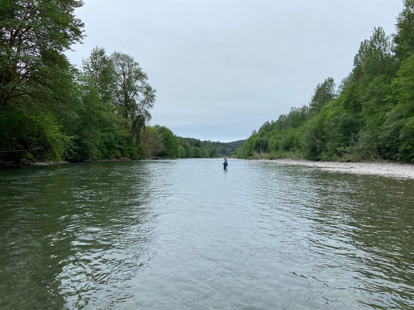 Sandee Bogachiel State Park Photo