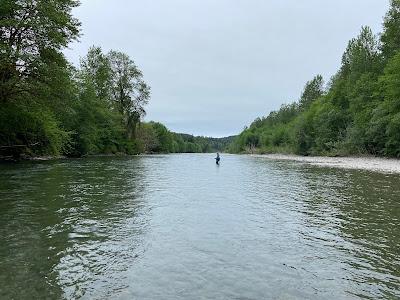 Sandee - Bogachiel State Park