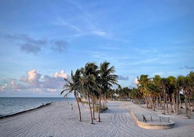 Sandee - Crandon Park Beach