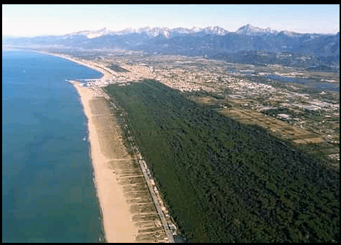 Sandee Spiaggia Libera Molo Di Viareggio