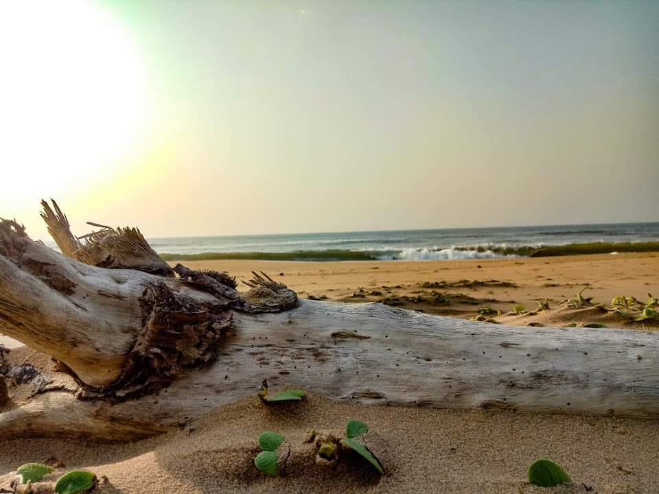 Sandee - Dokulapadu Beach