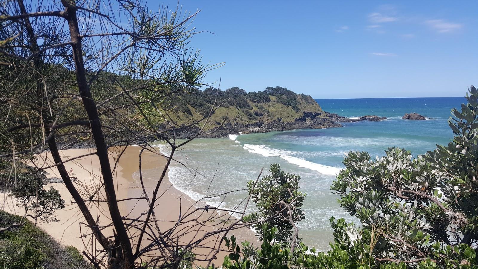 Sandee Little Diggers Beach Photo