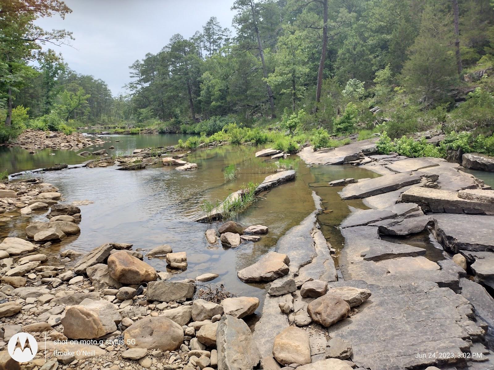 Sandee Knoppers Ford Recreation Area