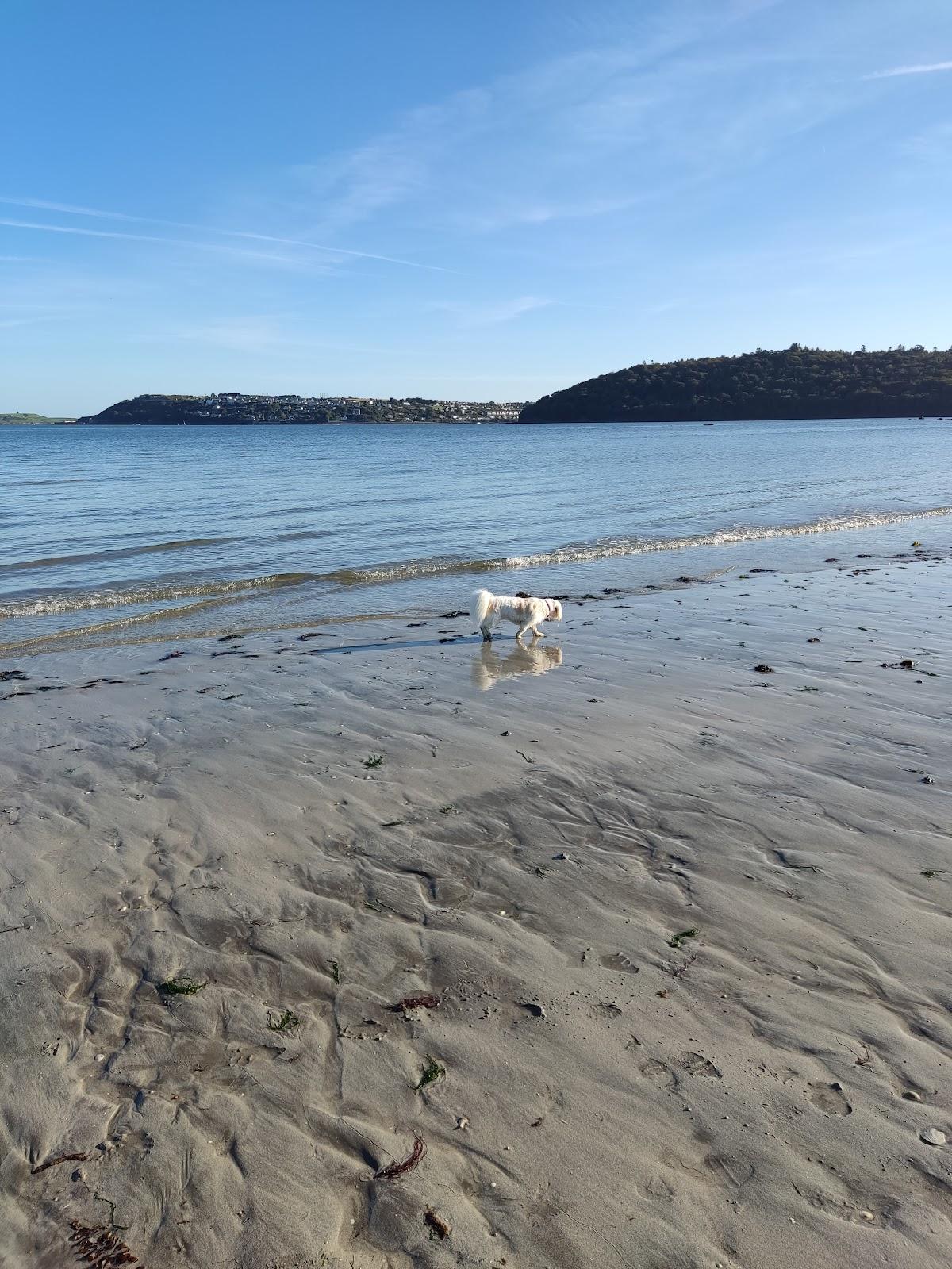 Sandee Loch Beach