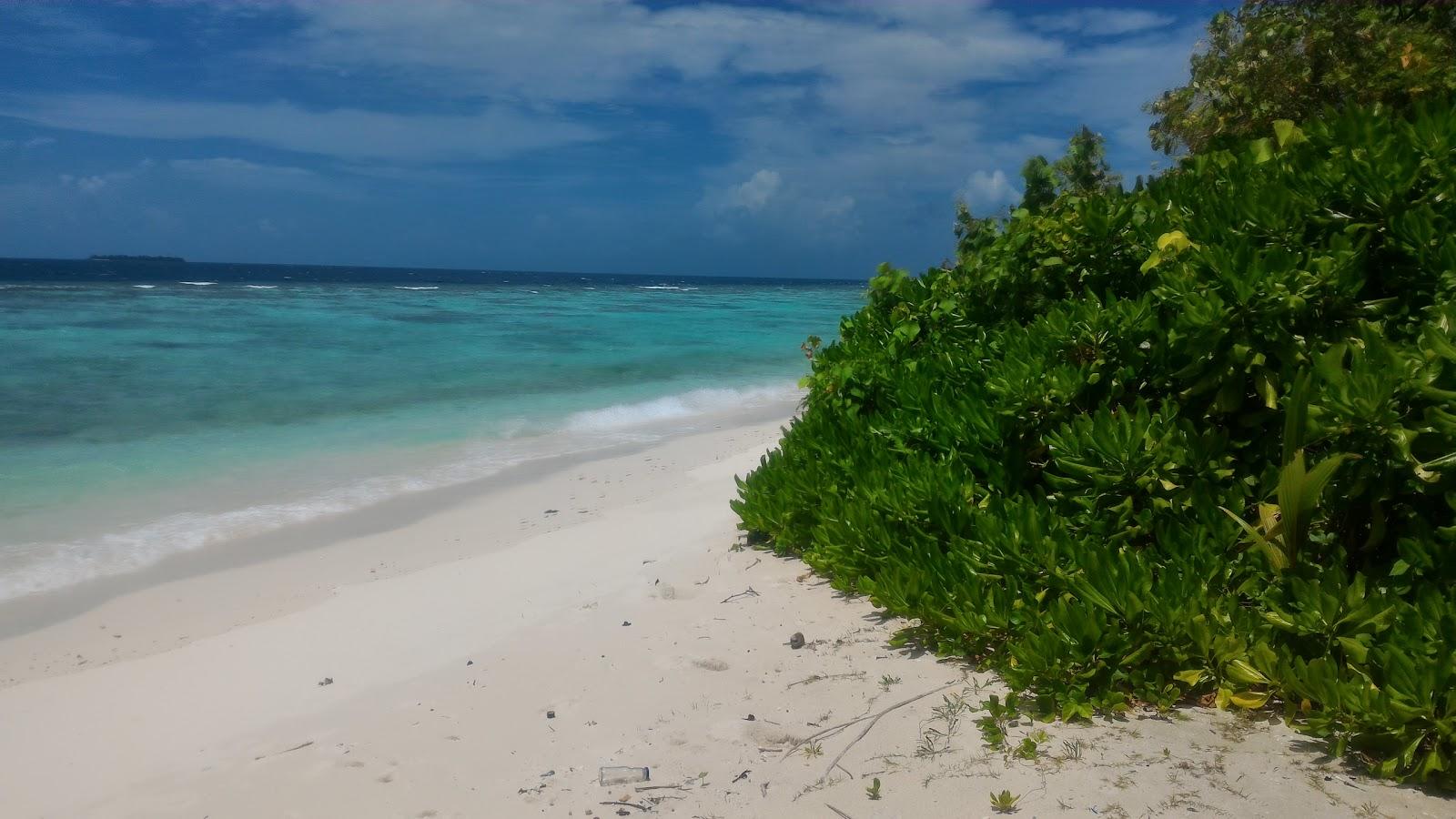 Sandee Omadhoo
