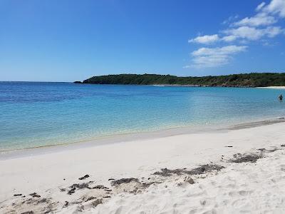 Sandee - Playa Pata Prieta