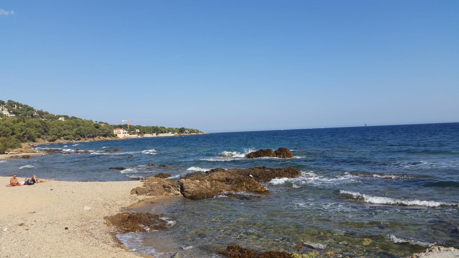 Sandee Beach Des Actinies