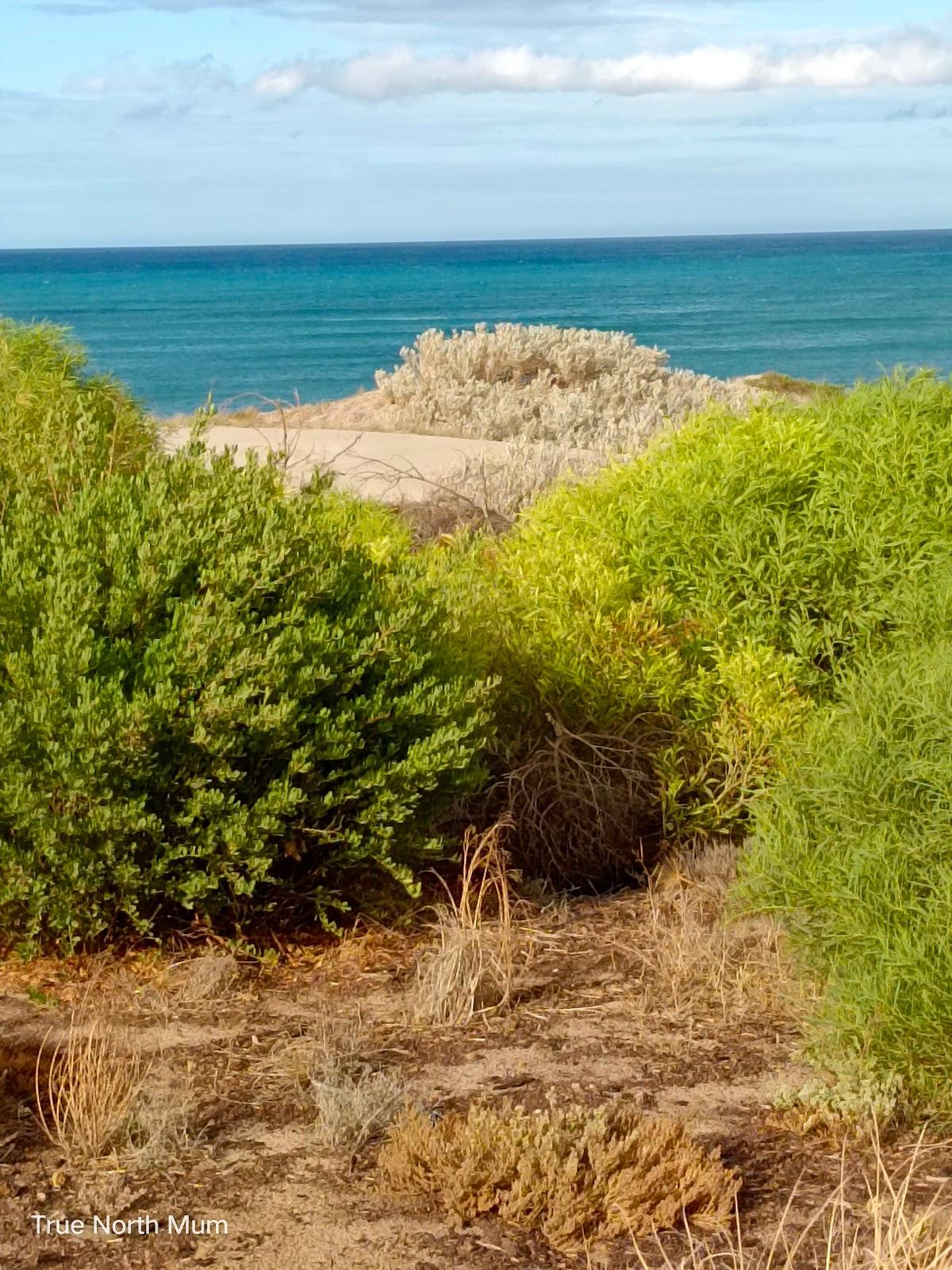 Sandee Three Mile Beach Photo