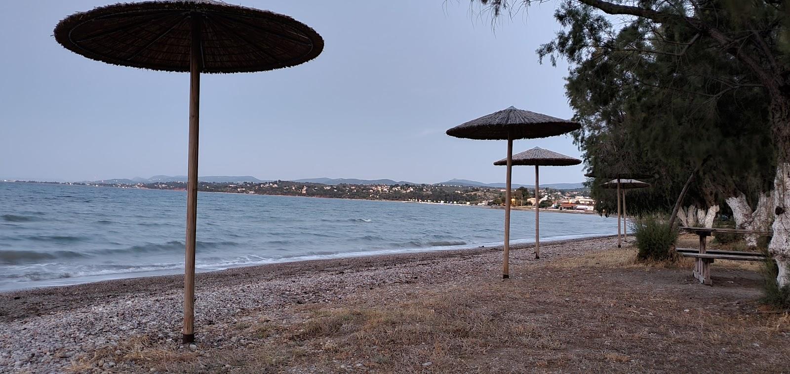 Sandee Plaka Dilessiou