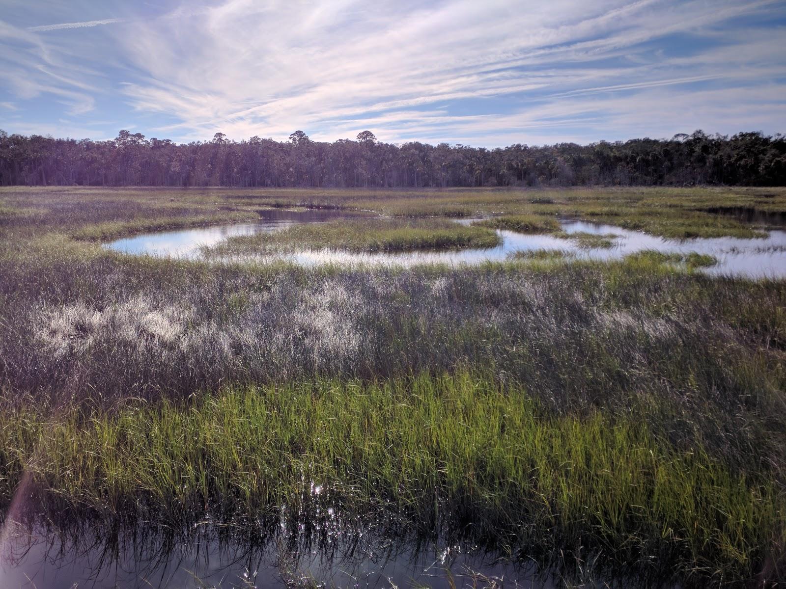 Sandee - Timucuan Ecological And Historical Preserve