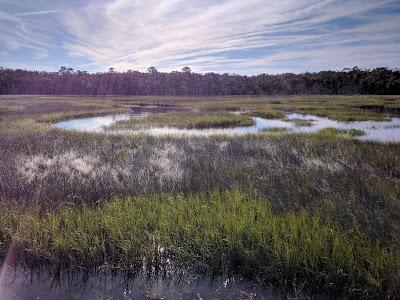 Sandee - Timucuan Ecological And Historical Preserve