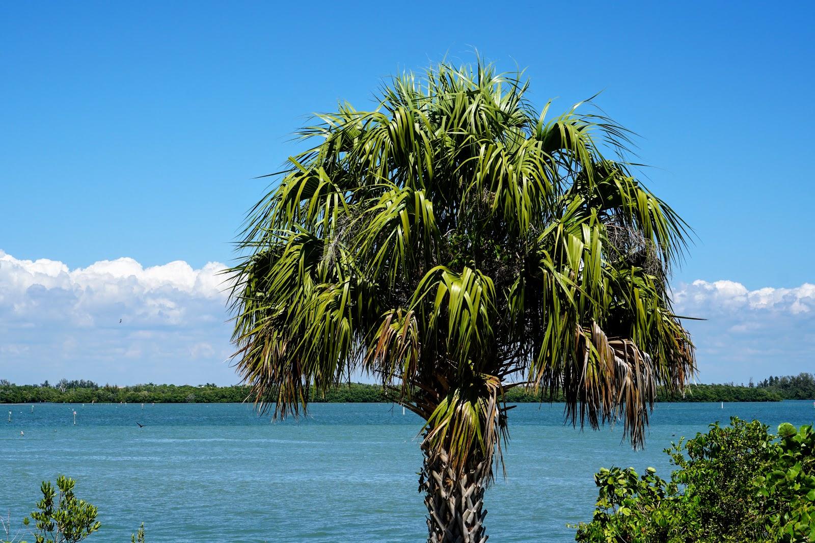 Sandee - Bowditch Point Park