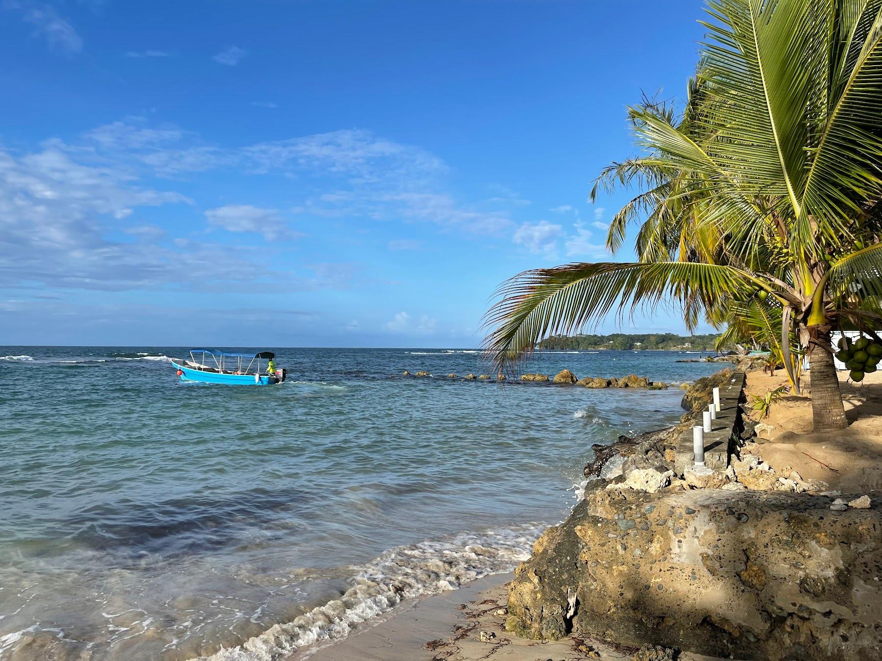 Sandee Playa Boca Del Drago
