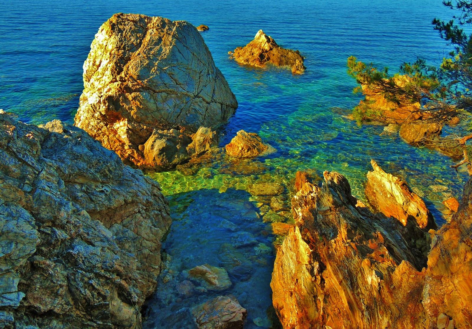 Sandee Plage Du Trelus