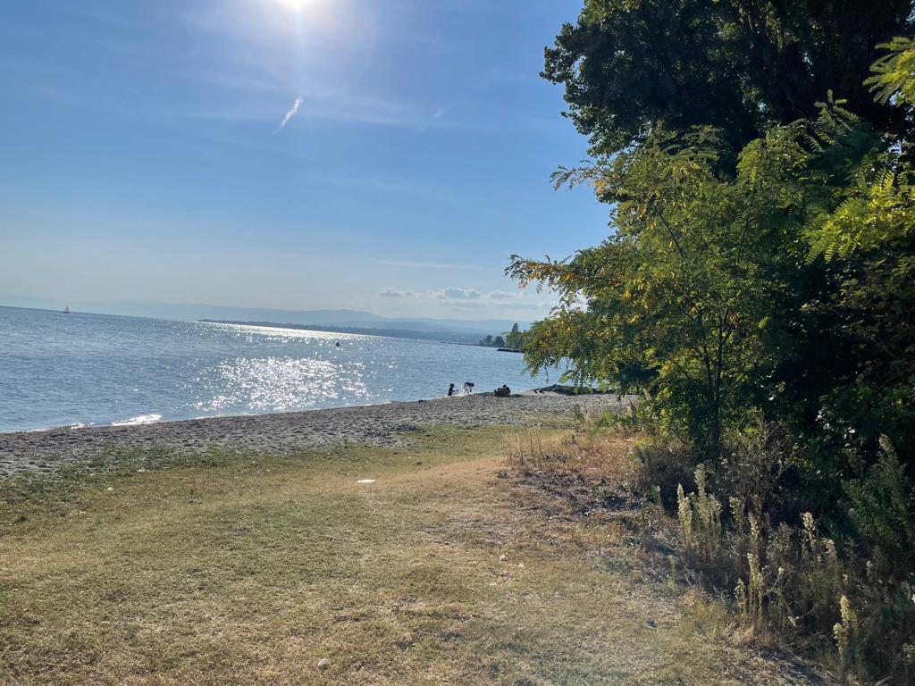 Sandee St.-Sulpice Beach