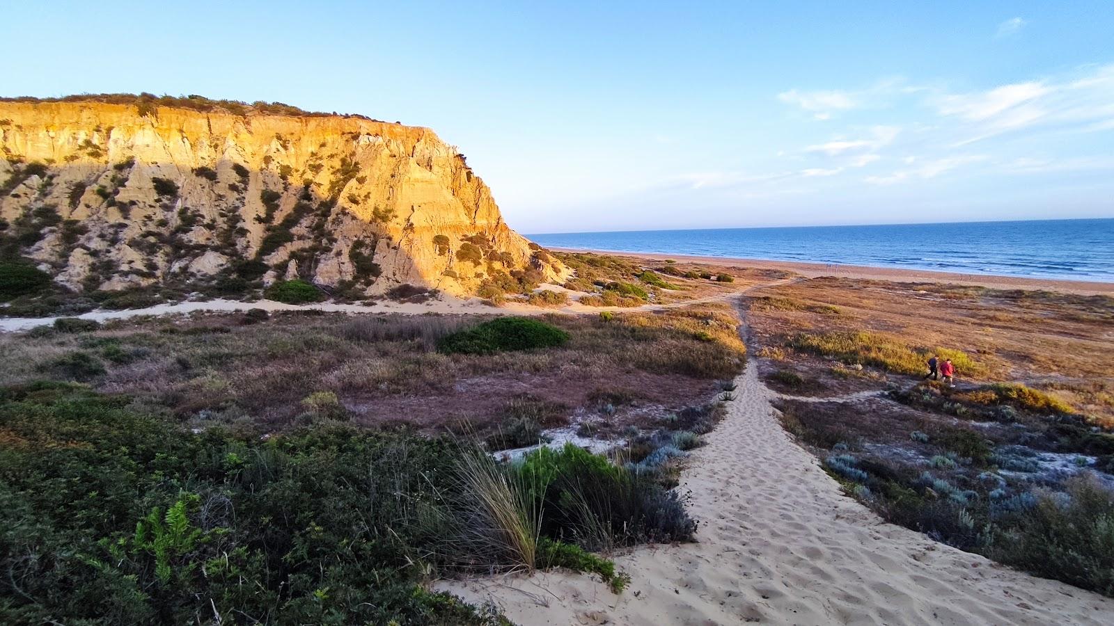 Sandee - Playa De Castilla