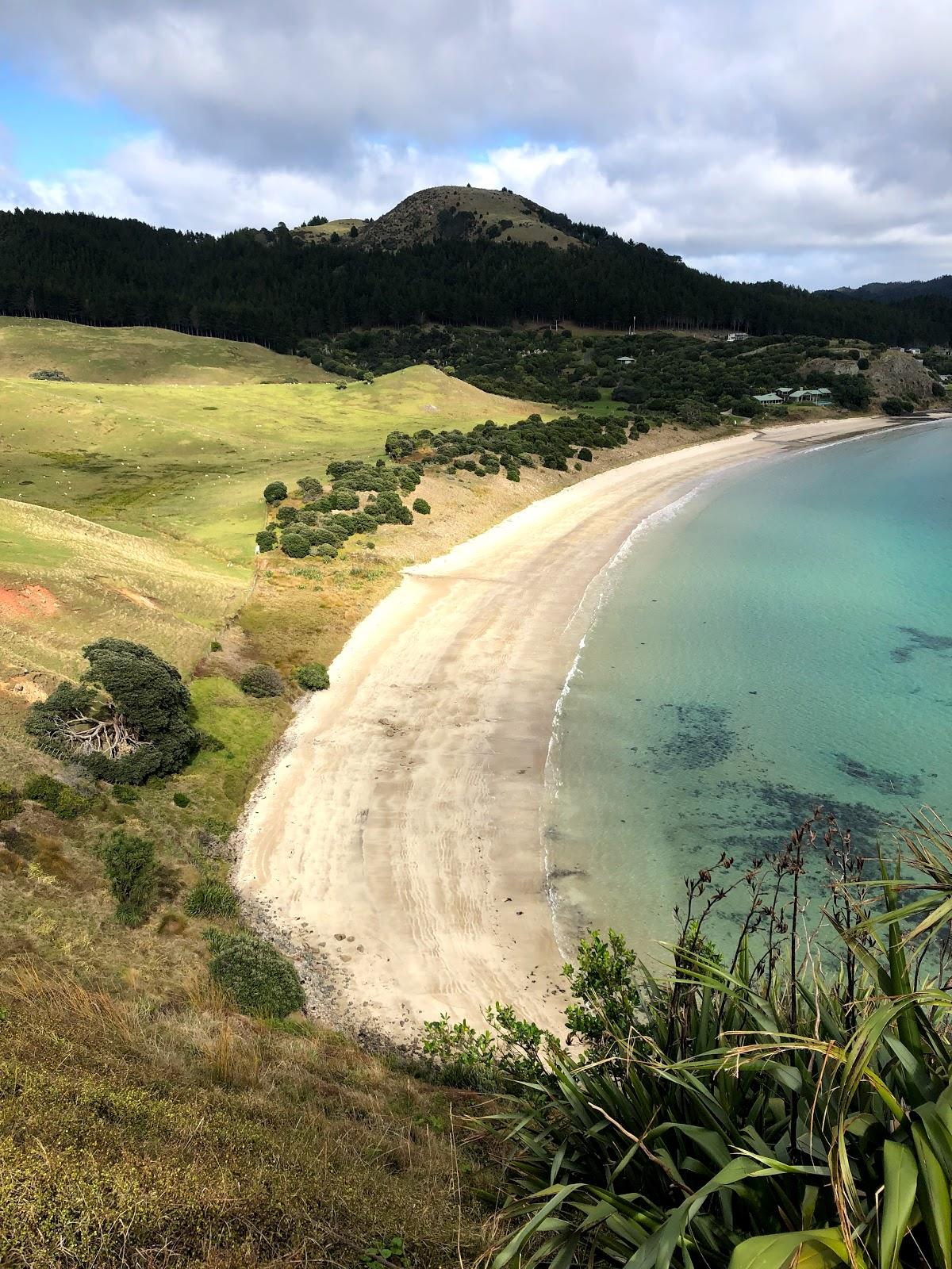 Sandee Opito Bay Beach, Coromandel