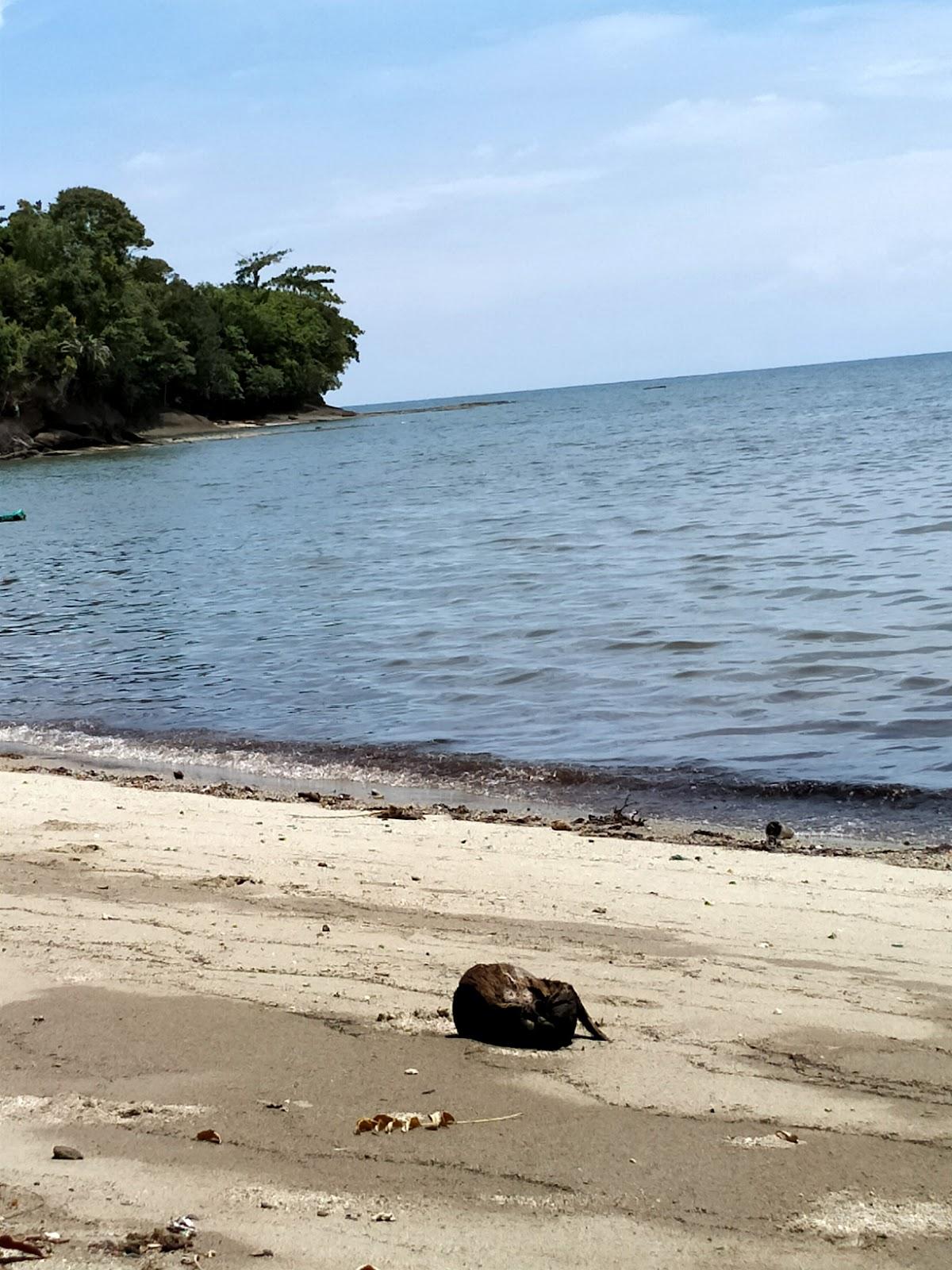 Sandee Ponnori Beach Photo