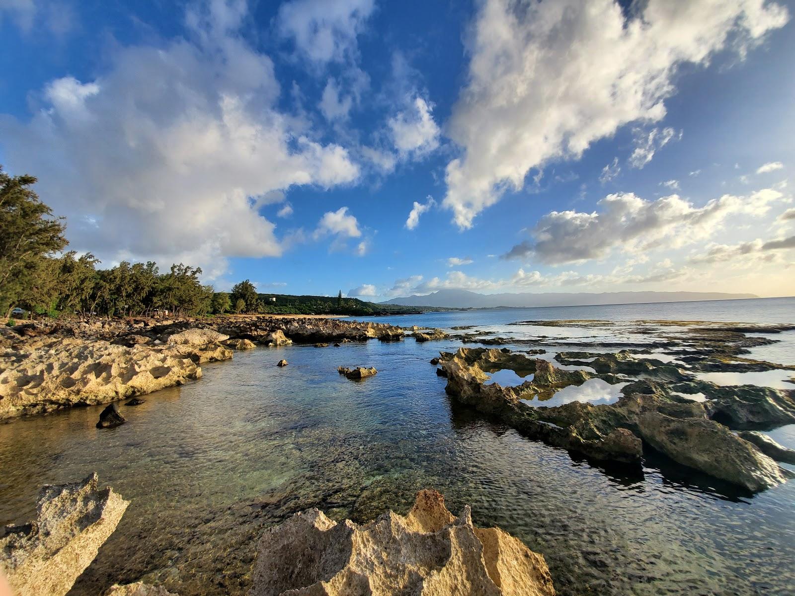 Sandee - Shark's Cove Beach