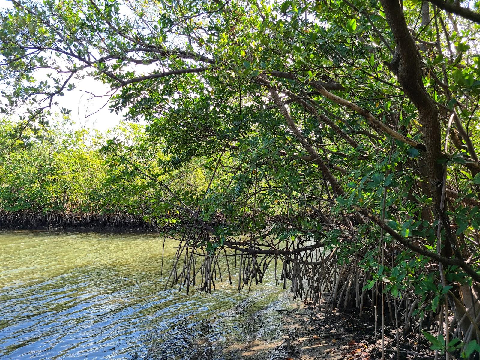 Sandee - Pelican Pavilion At Oleta State Park