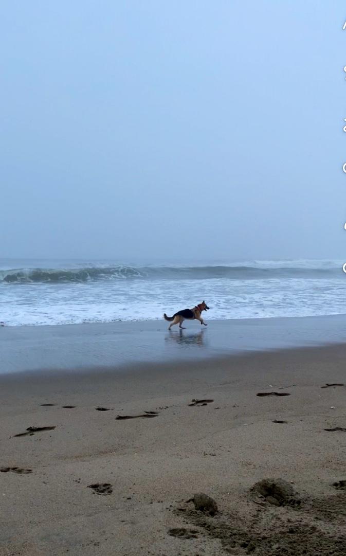 Sandee Magnum Beach