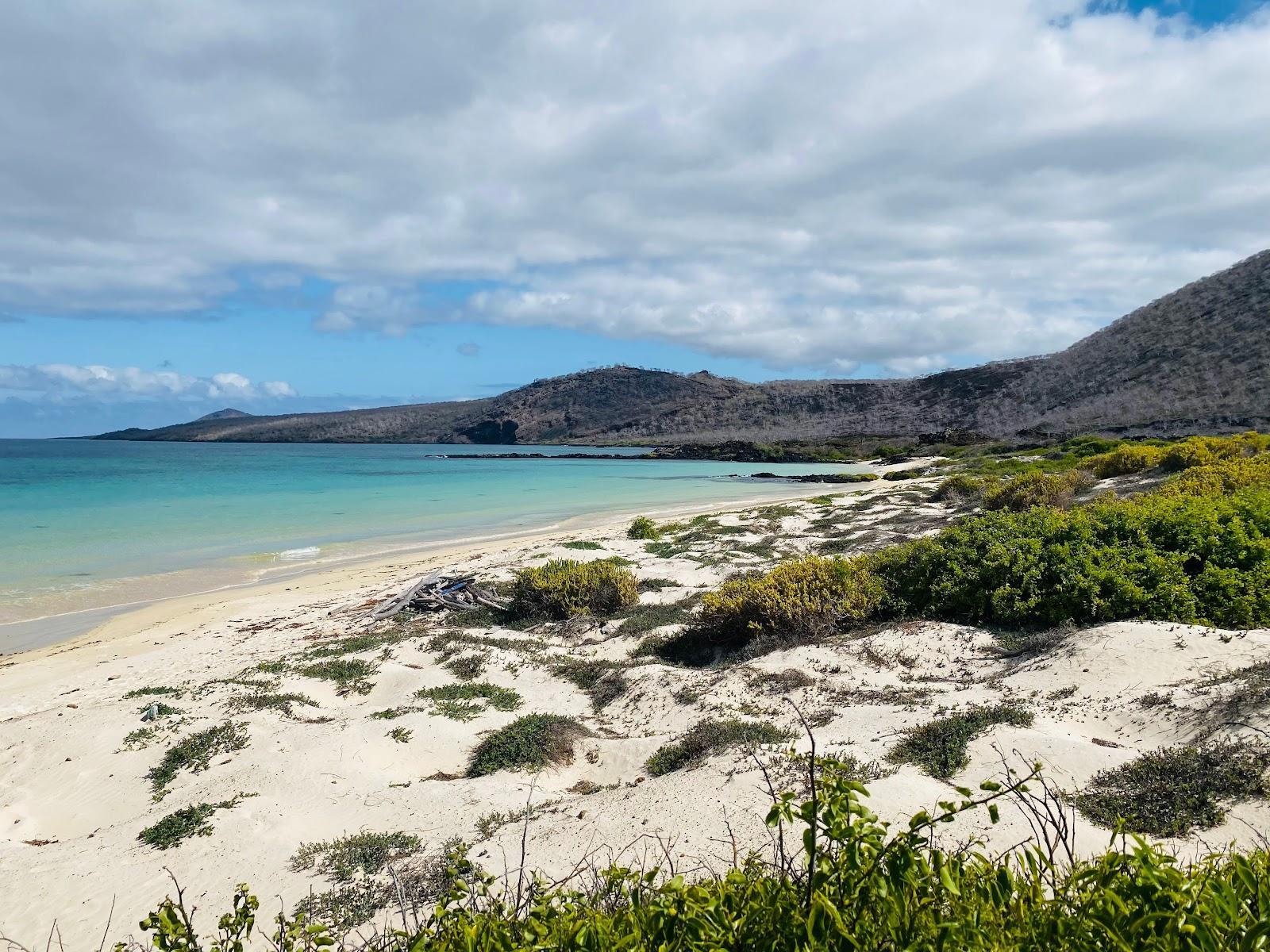 Sandee Cormorant Point