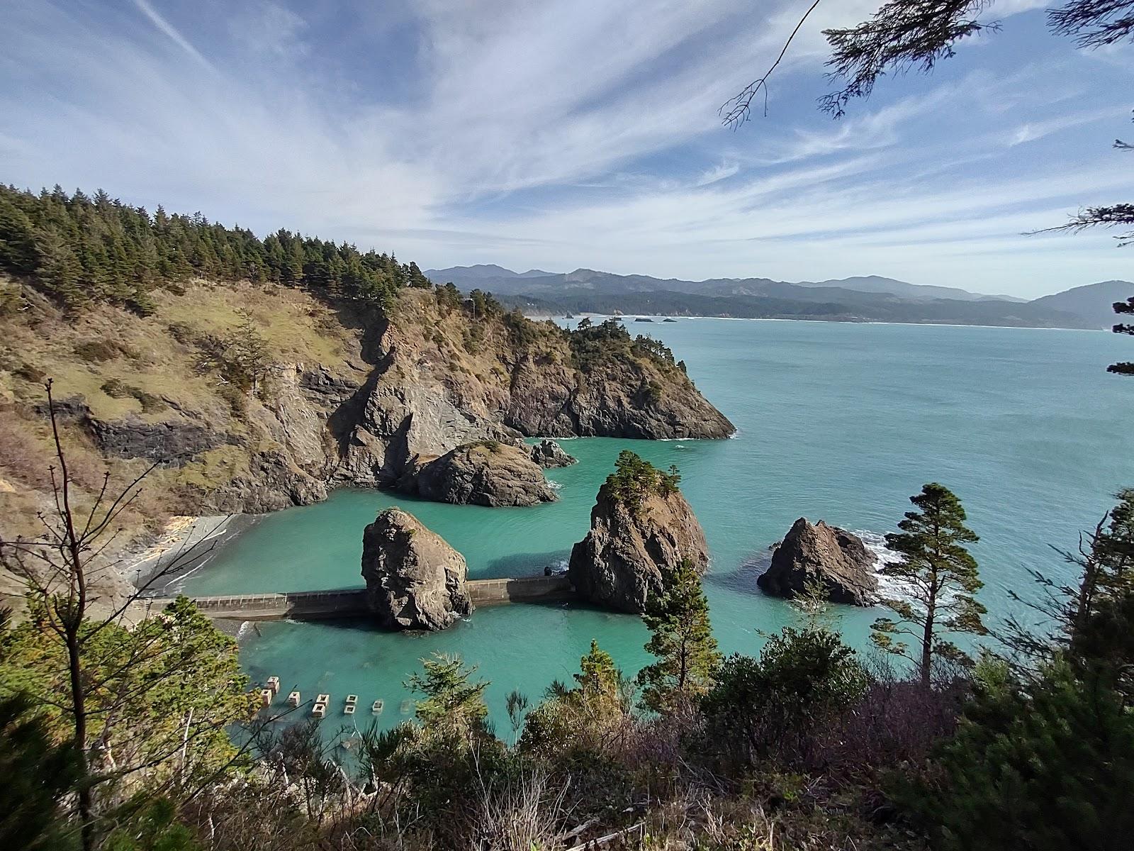 Sandee Port Orford Heads State Park Photo