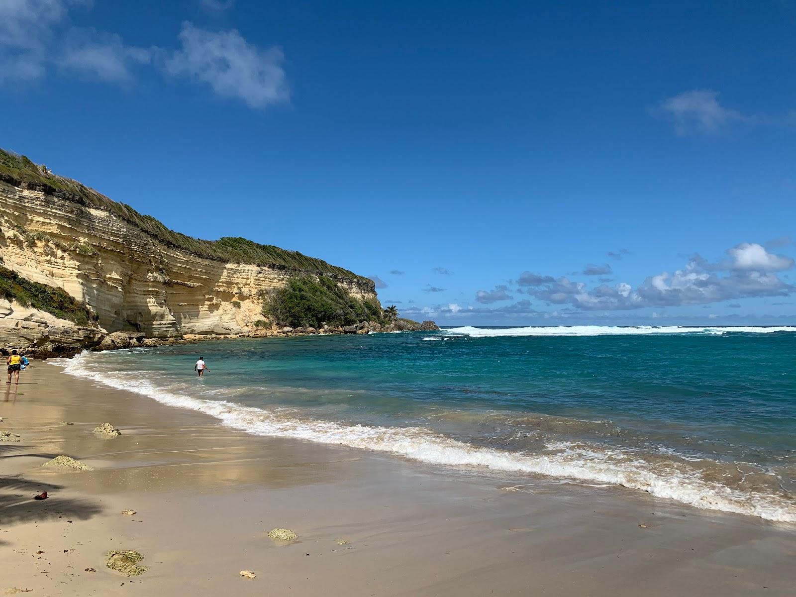 Sandee Playa El Breton