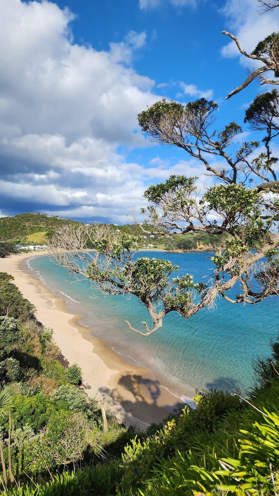 Sandee Whangaumu Reserve Freedom Camp Photo