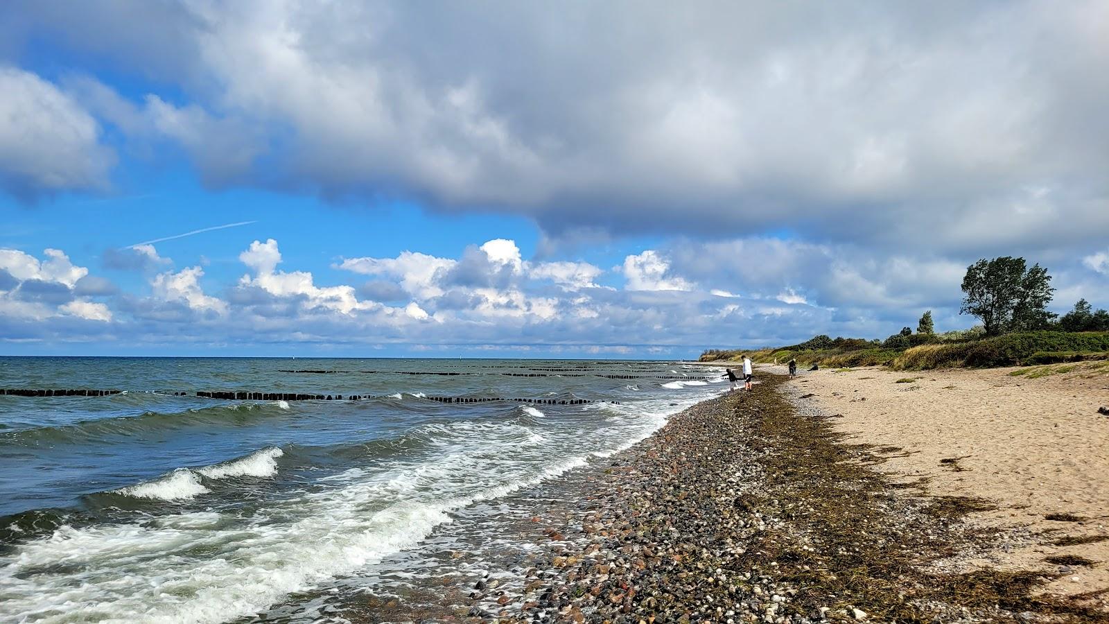 Sandee Hundestrand Dranske