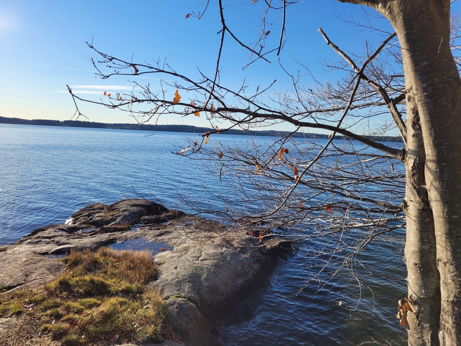 Sandee Salmon Point Trail Photo